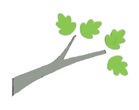 Small graphic image of oak branch with four leaves